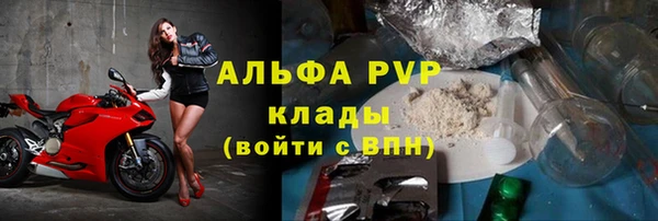 прущие грибы Верхний Тагил