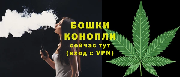 бошки Верея