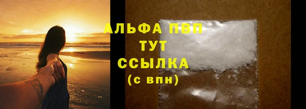 прущие грибы Верхний Тагил