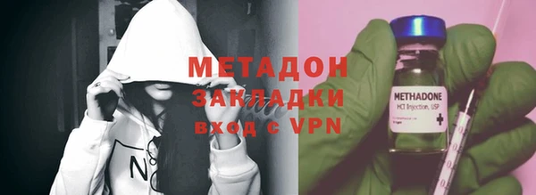 прущие грибы Верхний Тагил