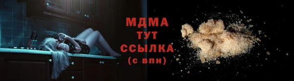 прущие грибы Верхний Тагил