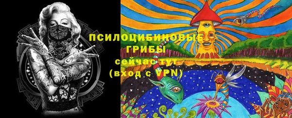 бошки Верея