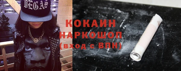 прущие грибы Верхний Тагил