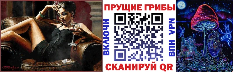 где можно купить наркотик  Подольск  площадка формула  Галлюциногенные грибы Magic Shrooms 